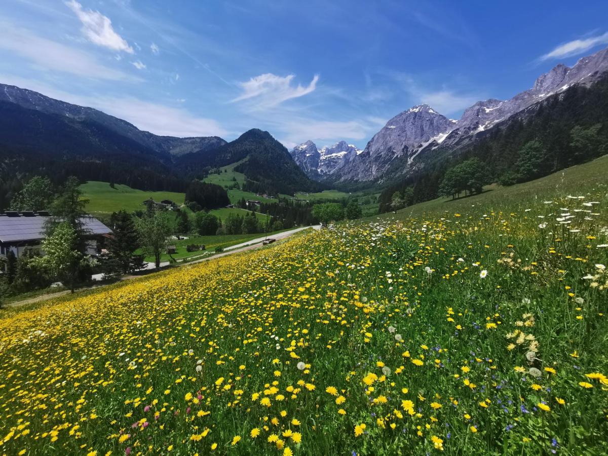 Ferienwohnung Saunahaus Annaberg im Lammertal Esterno foto
