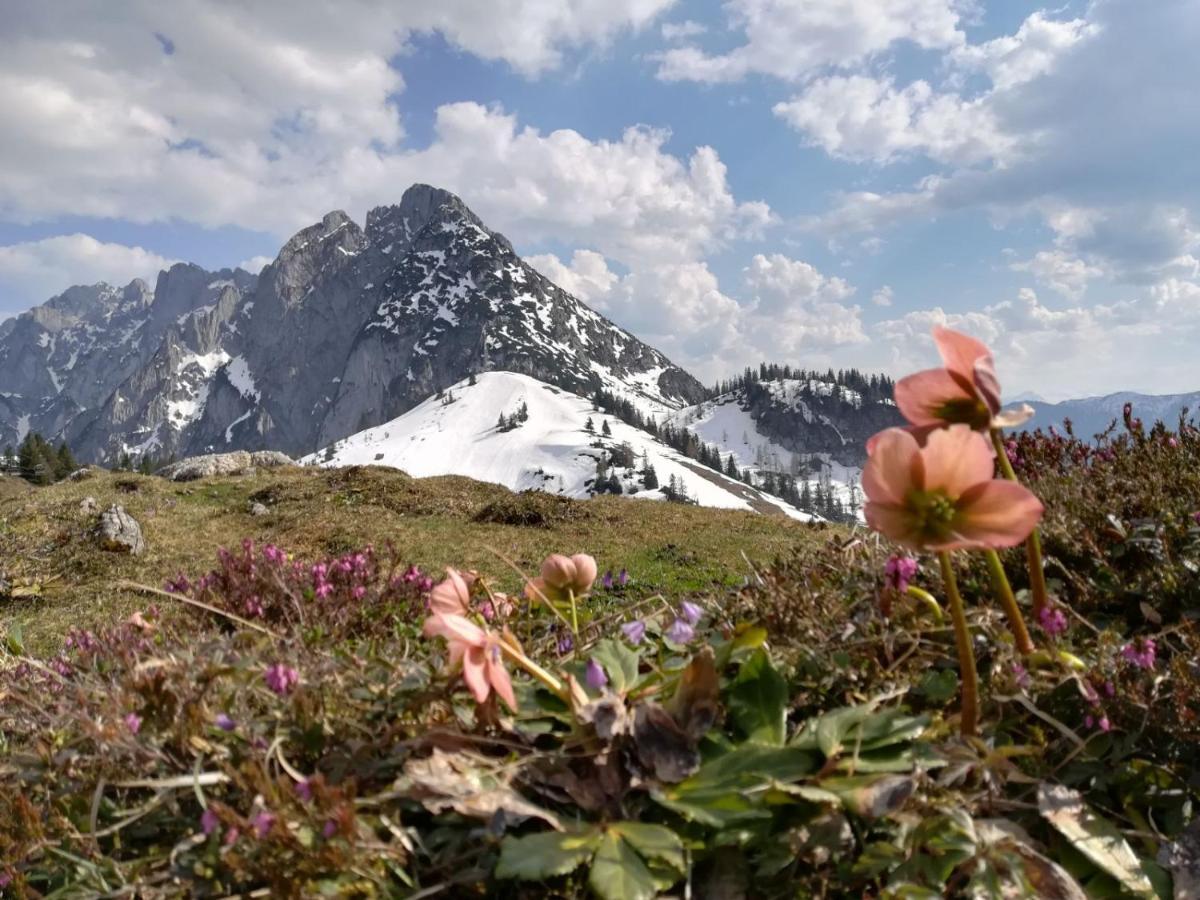Ferienwohnung Saunahaus Annaberg im Lammertal Esterno foto